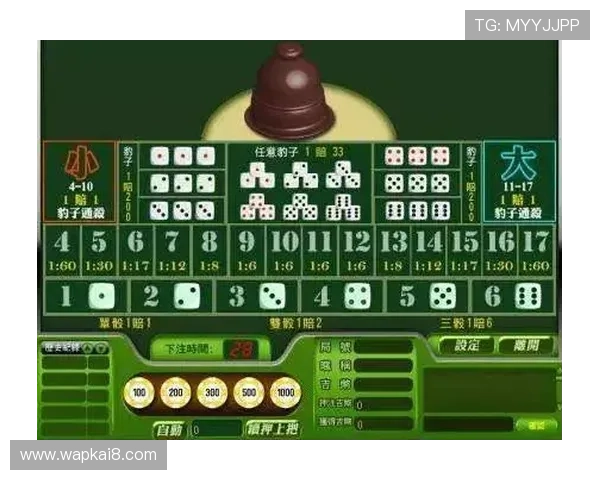 新手入门必看，凯发竞咪百家乐游戏规则详细解析