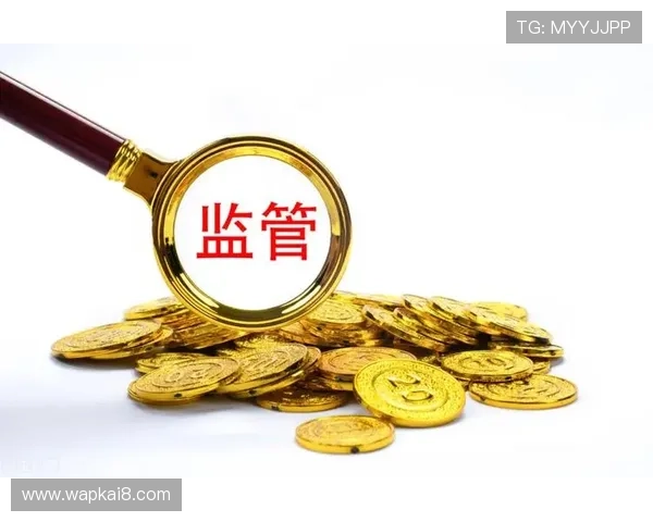 K8凯发登录安全验证流程，保障您的账户信息和资金安全