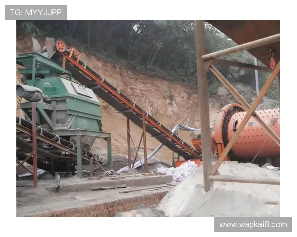 凯发体育客服网页版实现个性化定制满足不同用户的多样化需求