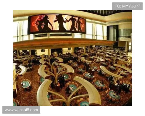 亚洲K8娱乐最大平台带你体验最丰富的线上博彩娱乐新体验