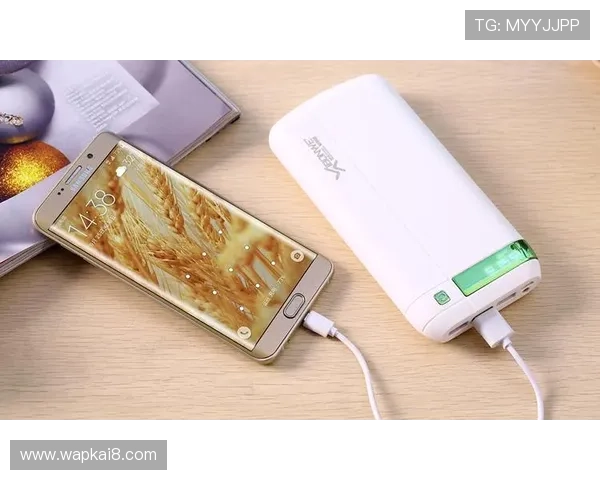 凯发手机官网旗舰厅支持多种支付方式,快速充值让你游戏无忧 凯发手机官网旗舰厅支持多种支付方式,快速充值让你游戏无忧